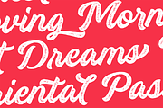 Breakout Bold Script Font, a Script Font by Letteralle Studios (Thumbnail 3 of 10)