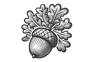 Vintage Oak Leaves Acorn Engraving