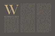 Romina / Neoclassical font family, a Serif Font by Rosario Nocera (Thumbnail 7 of 8)