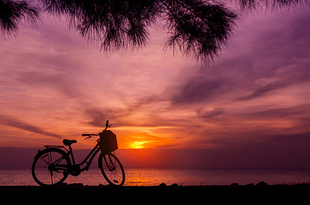 Ecology Traveling by Bike, a Sports & Recreation Photo by salmon.black
