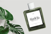 Fantia || Modern Serif Font, a Serif Font by Idea Studio (Thumbnail 3 of 10)