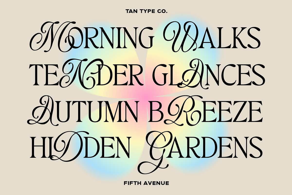 TAN - FIFTH AVENUE, a Serif Font by TanType (Photo 8 of 11)