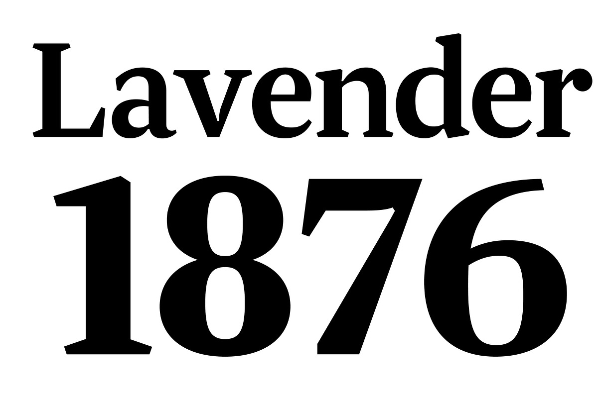 JT Douro Serif preview 7