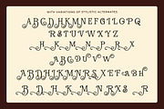 Broadest - Swash Decorative Serif, a Serif Font by Shakira Studio (Thumbnail 9 of 10)