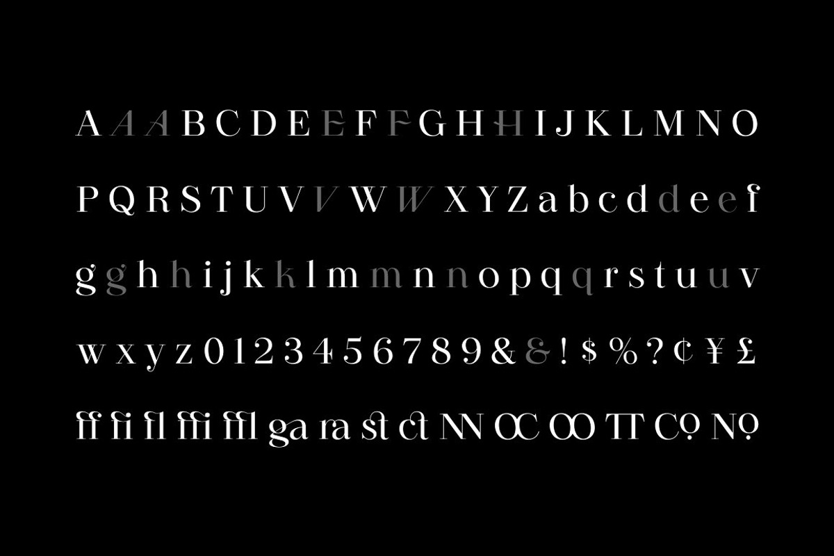 Revaux | Display Serif Family, a Serif Font by Wahyu & Sani Co. (Photo 12 of 15)