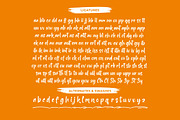 Interest Explore Modern Brush Font, a Script Font by Letterena Studios Script (Thumbnail 18 of 20)