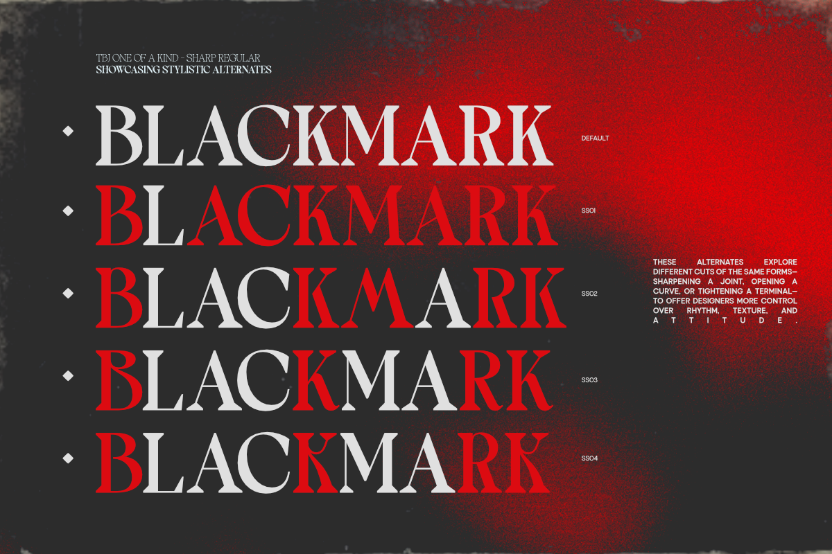 TBJ One Of A Kind Serif Font Family, a Serif Font by Taboja Studio (Photo 7 of 21)
