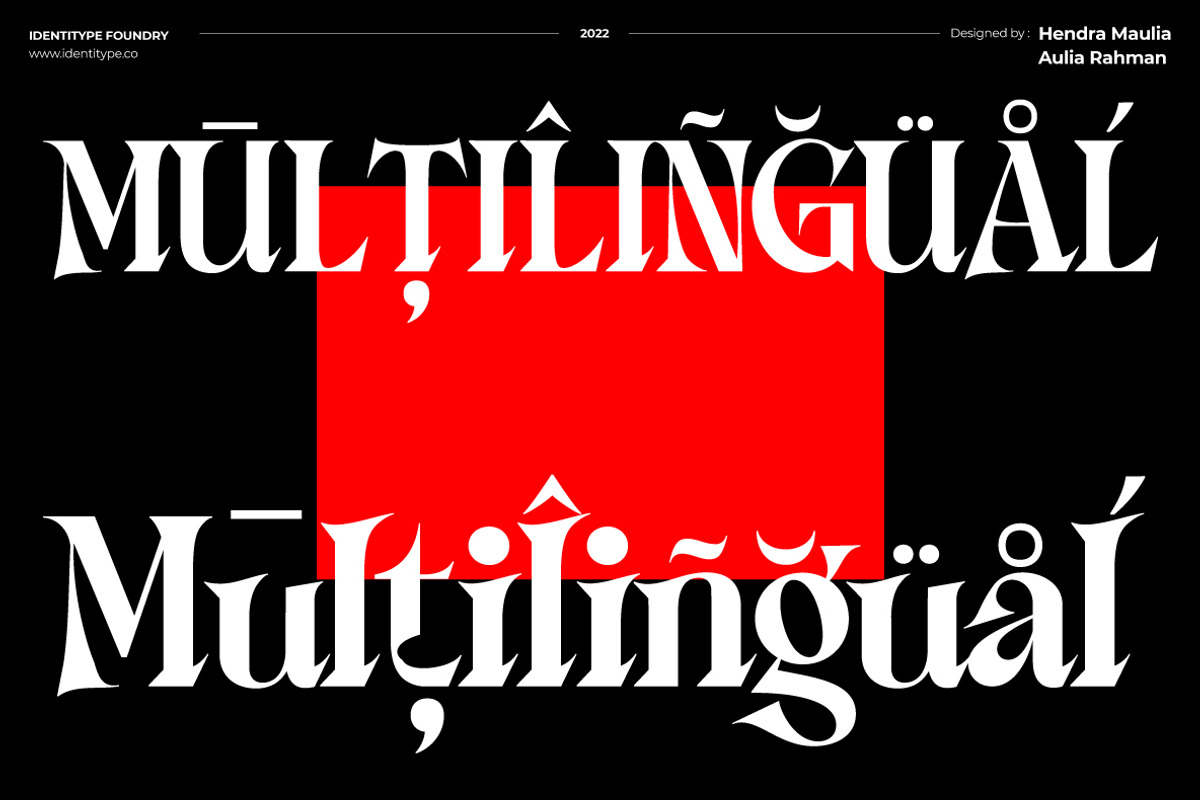 Consta - Premium Serif Font, a Serif Font by Identy Studio (Photo 10 of 18)