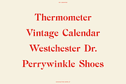 BN Chester - A Unique Serif Font, a Handwritten Font by Bnick (Thumbnail 7 of 10)