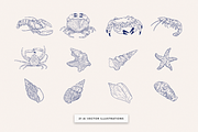Seashells and seafood Illustrations, a Food Illustration by MargauxQuercy (Thumbnail 2 of 5)