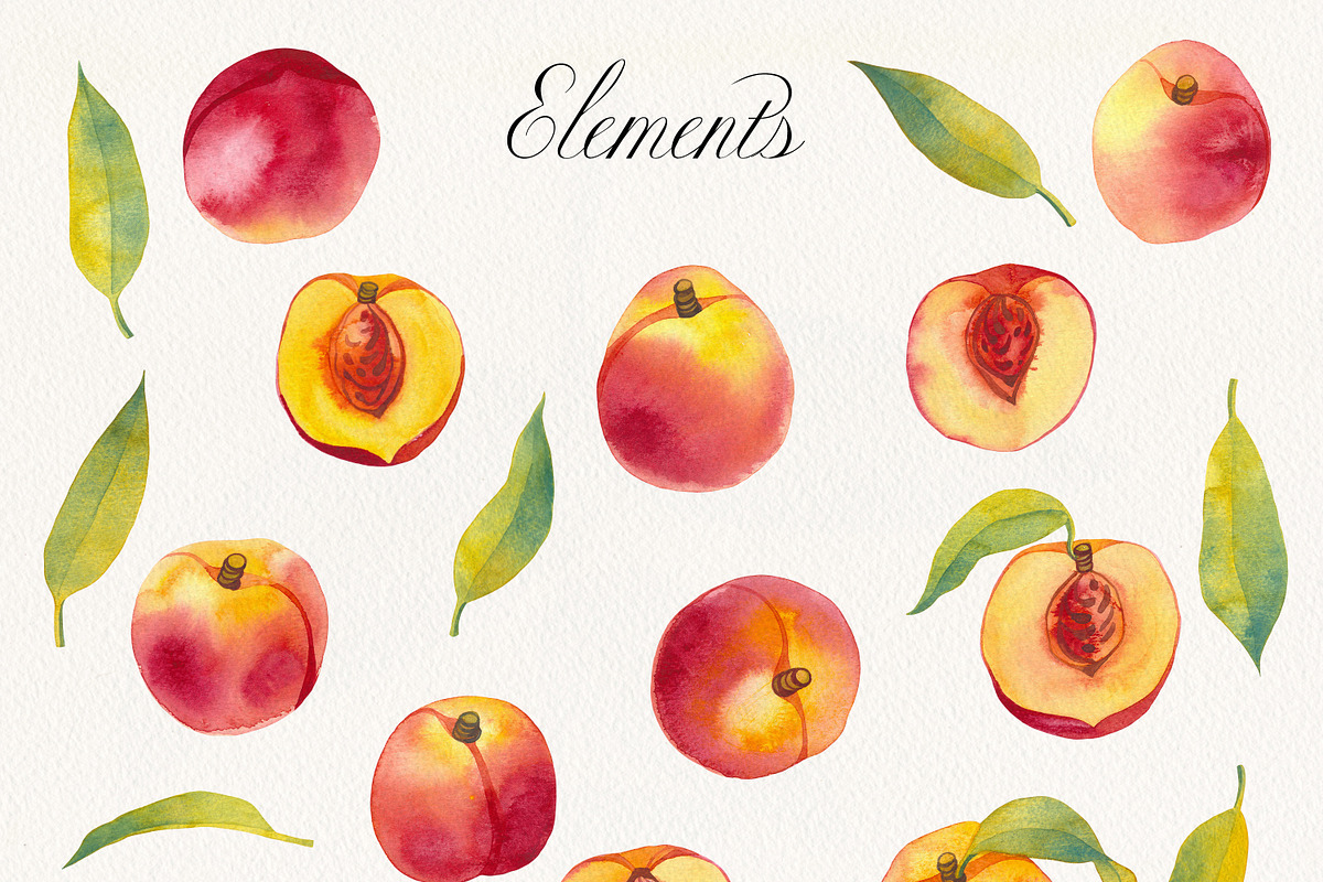 Watercolor Peach Fruits Clipart, a Food Illustration by Olga Begak Art & Design (Photo 2 of 7)