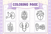 Human Anatomy Coloring Book, an Education Illustration by HueNestify (Thumbnail 3 of 4)