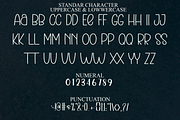 Perfect Script, a Serif Font by InermediaSTUDIO (Thumbnail 7 of 8)