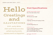 Adorn Collection, a Sans Serif Font by Laura Worthington (Thumbnail 37 of 62)