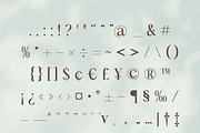 Artigianale Serif, a Serif Font by Creative Foundry (Thumbnail 8 of 8)
