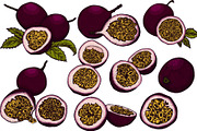 Hand drawn passion fruits, a Food Illustration by Elena Mykhailenko (Thumbnail 5 of 8)