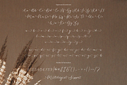 Cherylitta, a Font by Essentials Studio (Thumbnail 5 of 6)
