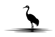 50 Heron Crane Silhouette Bundle, an Illustration by Amazin_art (Thumbnail 23 of 39)