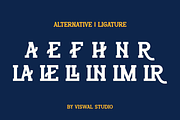 Bourne College - Slab Serif Font, a Slab Serif Font by Viswal Studio (Thumbnail 5 of 7)