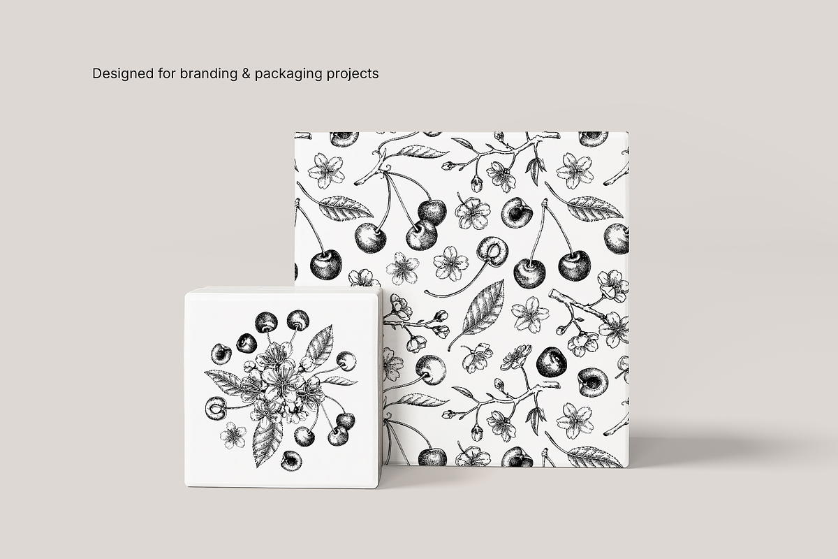Vintage Cherry Blossom Vector Set, an Object Graphic by Yevheniia (Photo 9 of 9)
