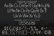 Perfect Lemonade, a Sans Serif Font by FreshTypeINK (Thumbnail 5 of 7)