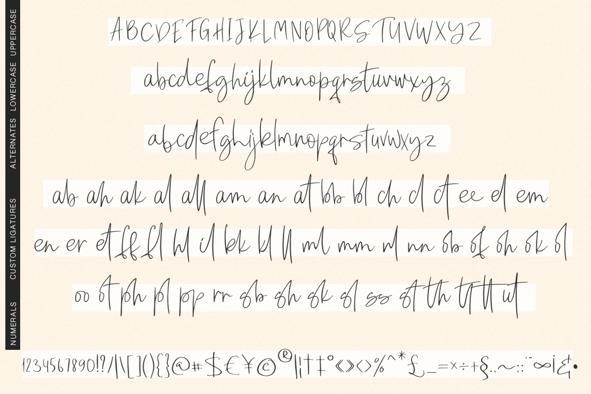 Peach blush, a Script Font by Larin Type Co. (Photo 11 of 11)