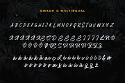 Matriver - Brush Font, a Script Font by Dirtyline Studio (Thumbnail 10 of 11)