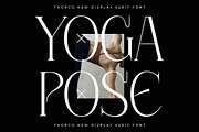Thorco New Display Serif Font, a Serif Font by Storytype Studio (Thumbnail 8 of 15)