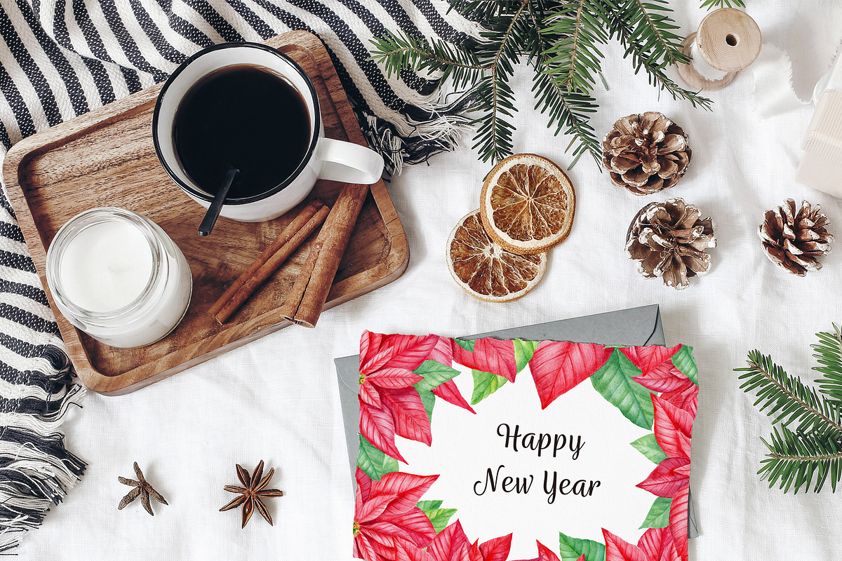 Christmas Red Poinsettia PNG, an Illustration by svetodesign (Photo 5 of 5)