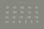 Blunder Modern Serif Typeface, a Serif Font by Alfinart (Thumbnail 9 of 10)