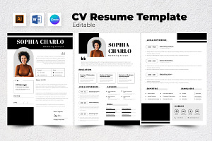 Resume / CV Marketing Analyst V9