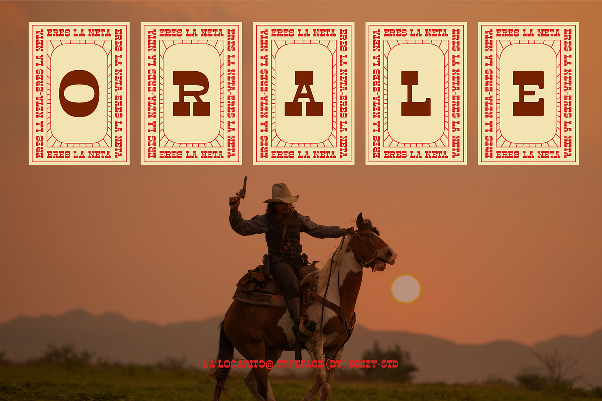 La Losarito – Reverse Contrast Weste, a Slab Serif Font by Drizy (Photo 9 of 10)