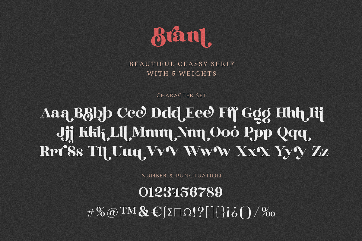 Brant, a Serif Font by FactoryType Studio (Photo 9 of 11)