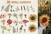 Retro field flowers & sunflowers, a Decorative Illustration by marie dricot (Thumbnail 5 of 10)