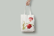5x Isolated Flower Illustration (01), an Object Graphic by Europe.graphics (Thumbnail 2 of 7)