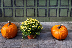 Symmetrical Autumn Display, a Holiday Photo by Imaginarium