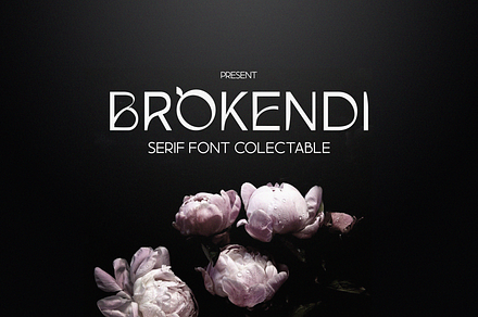 Brokendi, a Serif Font by lelevien