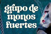 Indigo Sky - Retro Serif, a Serif Font by Fenotype (Thumbnail 15 of 15)