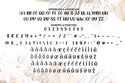 Boho Summer | Script Font, a Script Font by Scratchones (Thumbnail 7 of 8)