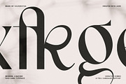 FRENCH CHATEAUX - Chic Display Font, a Sans Serif Font by SilverStag Type Foundry (Thumbnail 6 of 22)