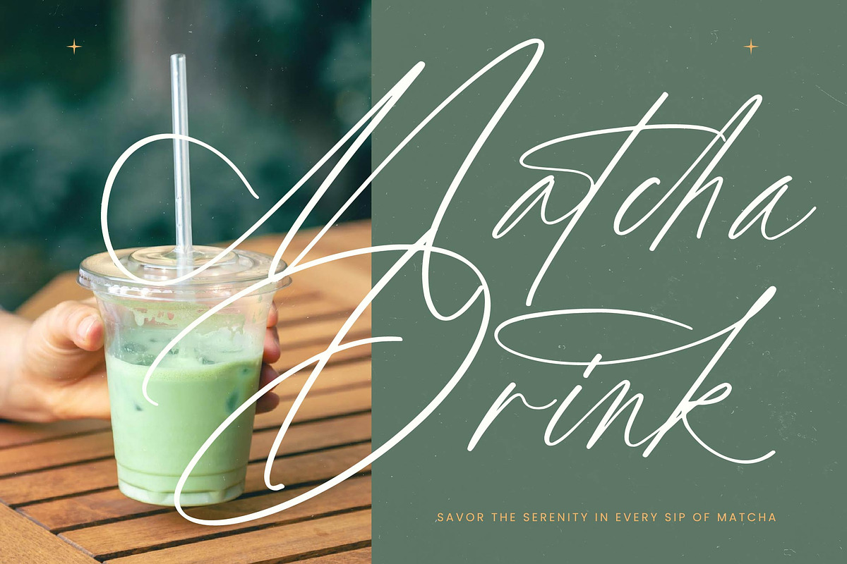 Political Otthestic Modern Script, a Script Font by stylishtype.co (Photo 13 of 20)