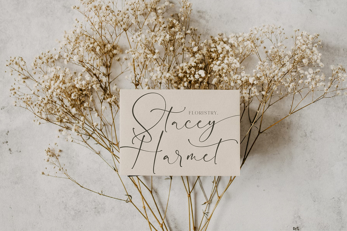Magistica Herimattos Luxury Script, a Script Font by Storytype Studio (Photo 10 of 15)