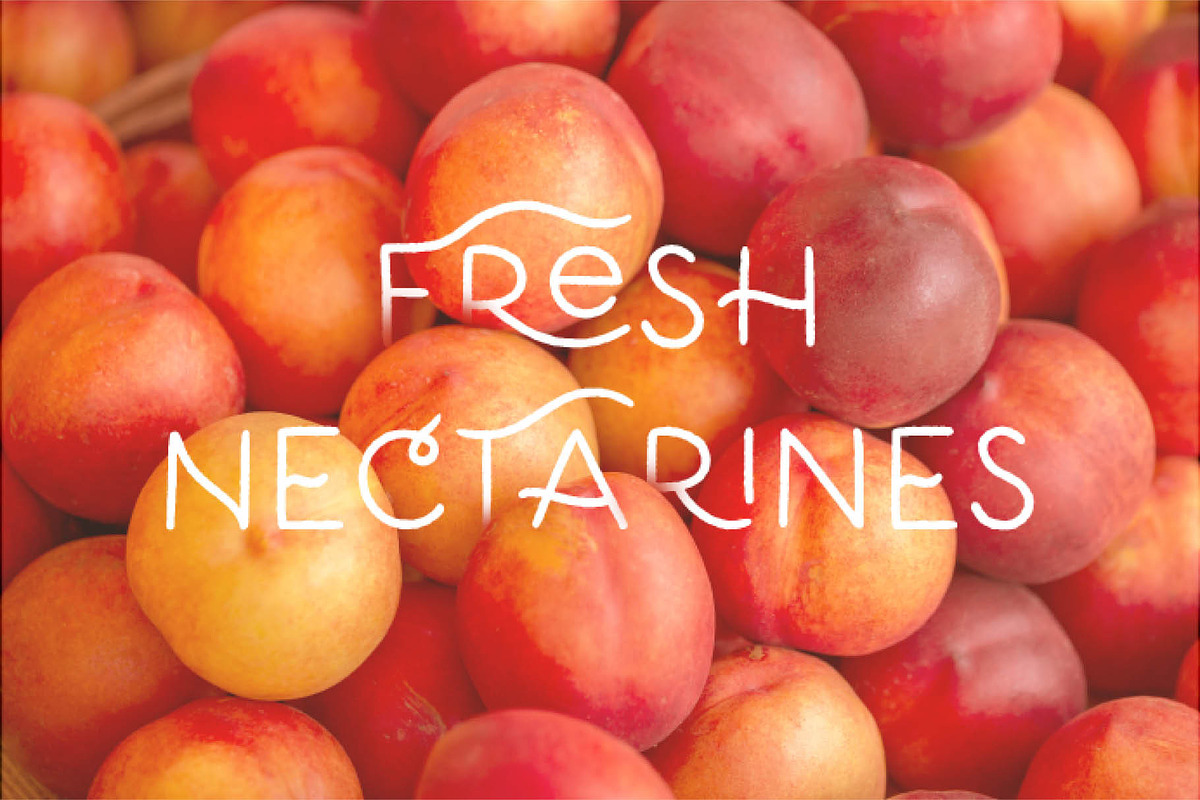 Nektarina Handwritten Font & Extras, a Font by Pencil Twist (Photo 11 of 12)