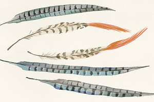 Watercolor Feathers Talking Sticks