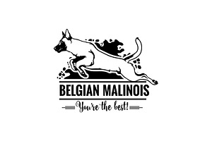 Belgian Malinois In Jump - Dog Happy