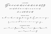 Sign Style – Elegant Signature Font, a Script Font by RedyStudio (Thumbnail 15 of 15)