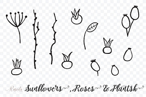 Sunflowers, Roses, Rosehip, Plants