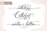 Amerta Misty Script, a Script Font by Letterhend Studio (Thumbnail 8 of 9)