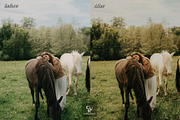 10 Western Lightroom Presets, a Preset Add-On by CVR Presets (Thumbnail 7 of 9)