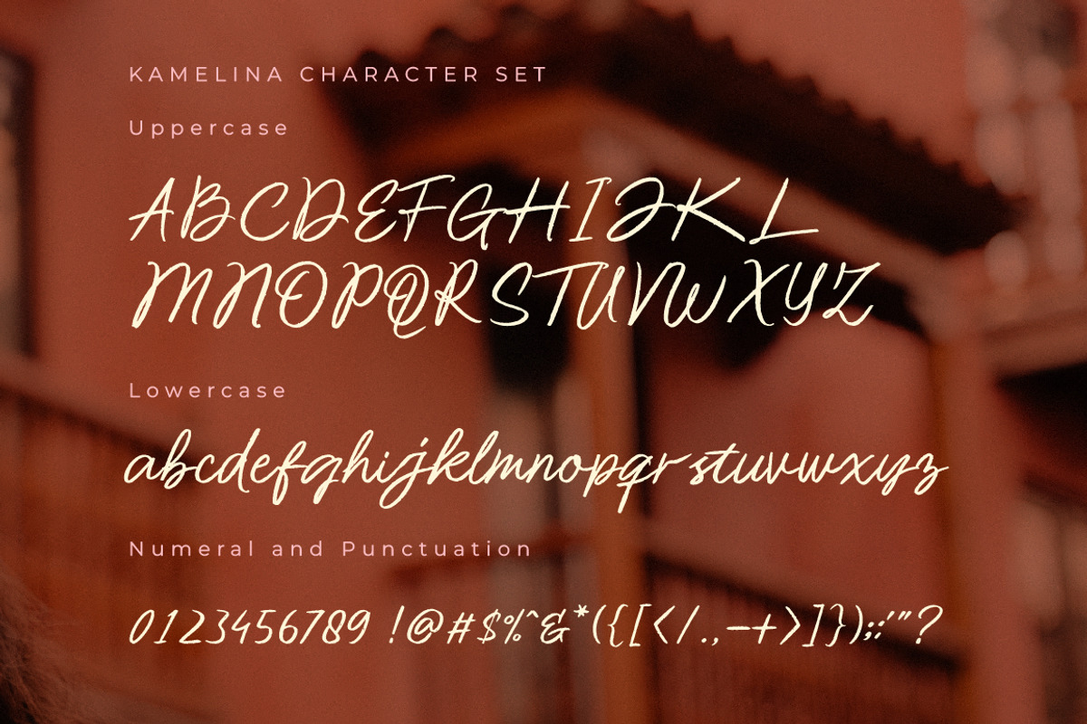 Kamelina Handwritting, a Script Font by Olexstudio (Photo 7 of 7)